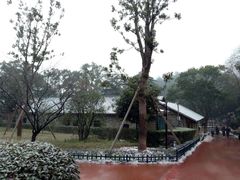 门面-韶山毛泽东同志故居