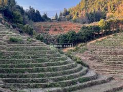 -南靖田螺坑土楼群景区