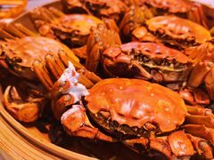 -寻味顺德·顺峰山庄(大良店)