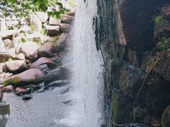 -汤旺河林海奇石景区