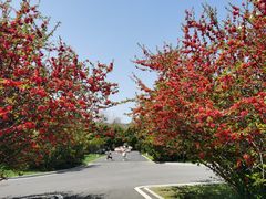 -棒棰岛宾馆景区