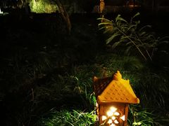 -普陀山雷迪森庄园