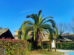 -咸宁万豪温泉谷度假区