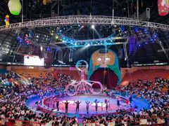 -俄罗斯国家大马戏团