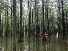 -渌洋湖湿地公园