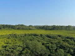 -东寨港红树林旅游区