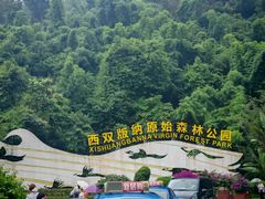 -西双版纳原始森林公园