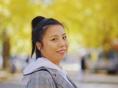 -三里屯东五街银杏大道