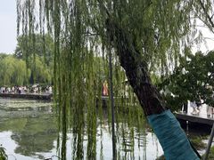 -西湖天地