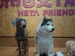 -和它·交个朋友·狗咖猫咖(爱琴海店)