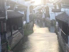 -真真老老(月河花鸟市场店)