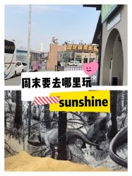 -恐龙探索乐园(磁器口店)