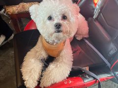 -E+有冰工厂·昆仑寒宫2(五角场店)