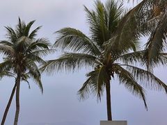 -海南清水湾莱佛士酒店