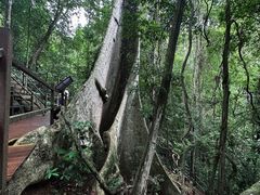 -中国科学院西双版纳热带植物园