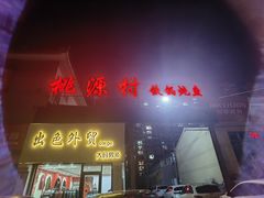 -桃源村铁锅炖鱼(体育馆道店)