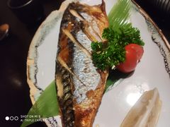 -春草居酒屋·晴子の店