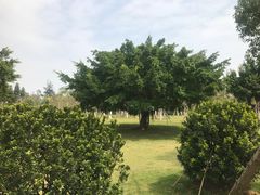 -厦门国家会计学院