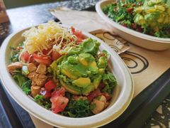 -油梨树AVOCADO TREE(顺义新国展店)