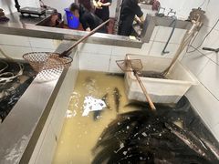 -都江堰石锅鱼