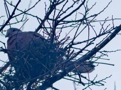 -苏州河梦清园环保主题公园