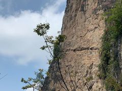 -塔云山
