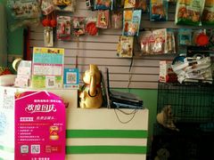 -喵宠乐园·撸猫互动·猫舍