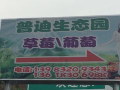 -普迪生态园