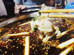 -费明中罗非鱼(大石坝店)