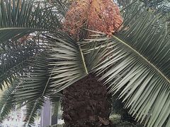 -上海外国语大学(虹口校区)