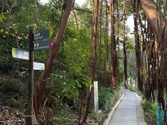 -梧桐山风景名胜区