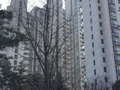-新湖明珠城