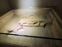 -洛阳周王城天子驾六博物馆