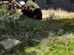 -泰山天颐湖旅游度假区
