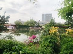 -嘉定紫藤园