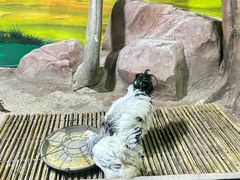 -苏州海洋馆