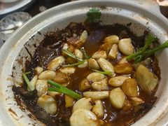 -金龙·打边炉(南京西路店)