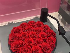 -ROSEONLY诺誓(沈阳万象城店)
