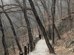 -阳台山自然风景区