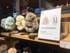 -九木杂物社(恒隆广场店)