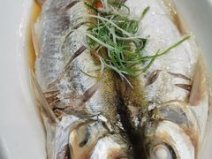 -蟹天蟹地农家菜·阳澄湖大闸蟹(浅水湾店)