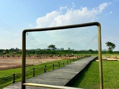 -盘龙城国家考古遗址公园