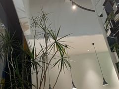 -gaga(深圳南山益田假日广场店)