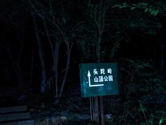 -紫金山山顶公园