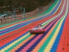 -武陵山森林公园
