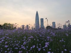 -深圳湾公园(南山区)
