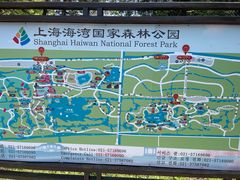 -上海海湾国家森林公园