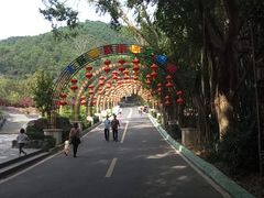 -大屏嶂森林公园
