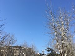 -北京外国语大学东院食堂