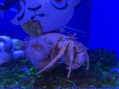 -海合安青岛极地海洋公园